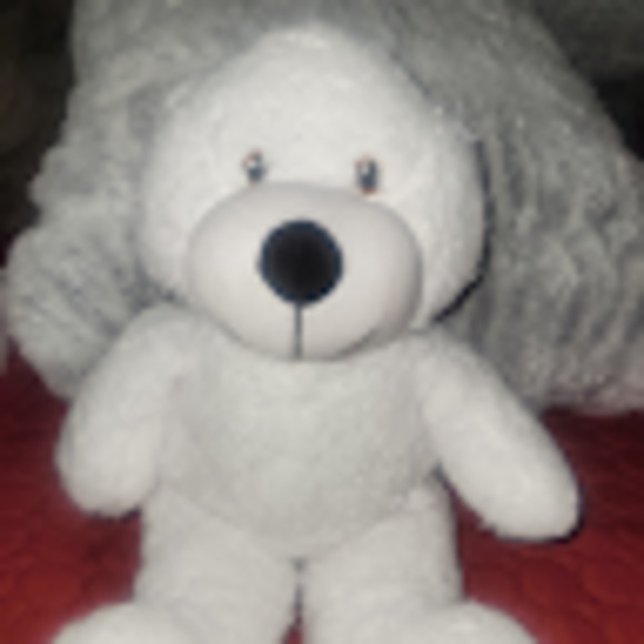 Meet your Posher, Suzette - Picture 1 of 1